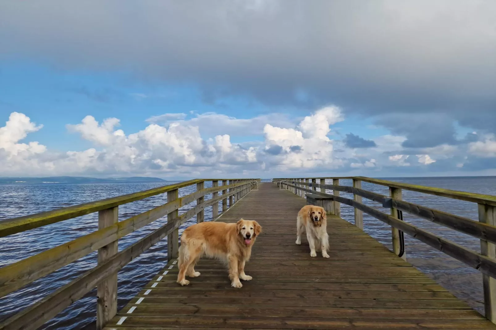 Mooi appartement vlakbij het strand-By Traum-Waterzicht