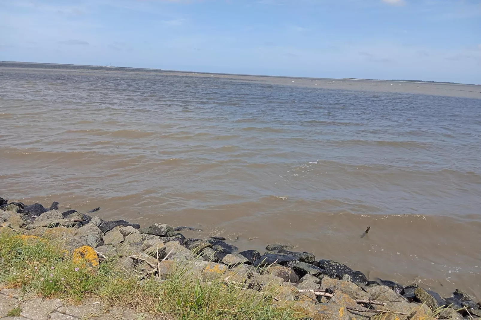 Doppelhaushälfte Wattwurm 34-Gebieden zomer 5km