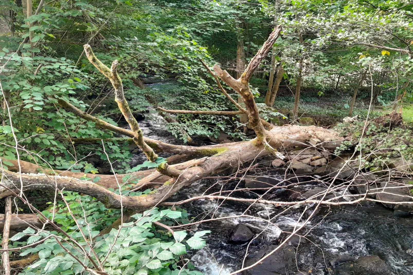 4 sterren vakantie huis in MUNKA-LJUNGBY-Waterzicht