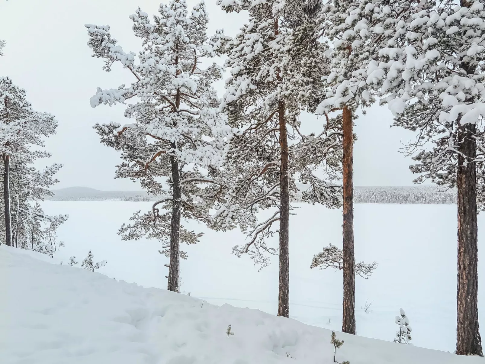 Lemmenliekki 3-Binnen