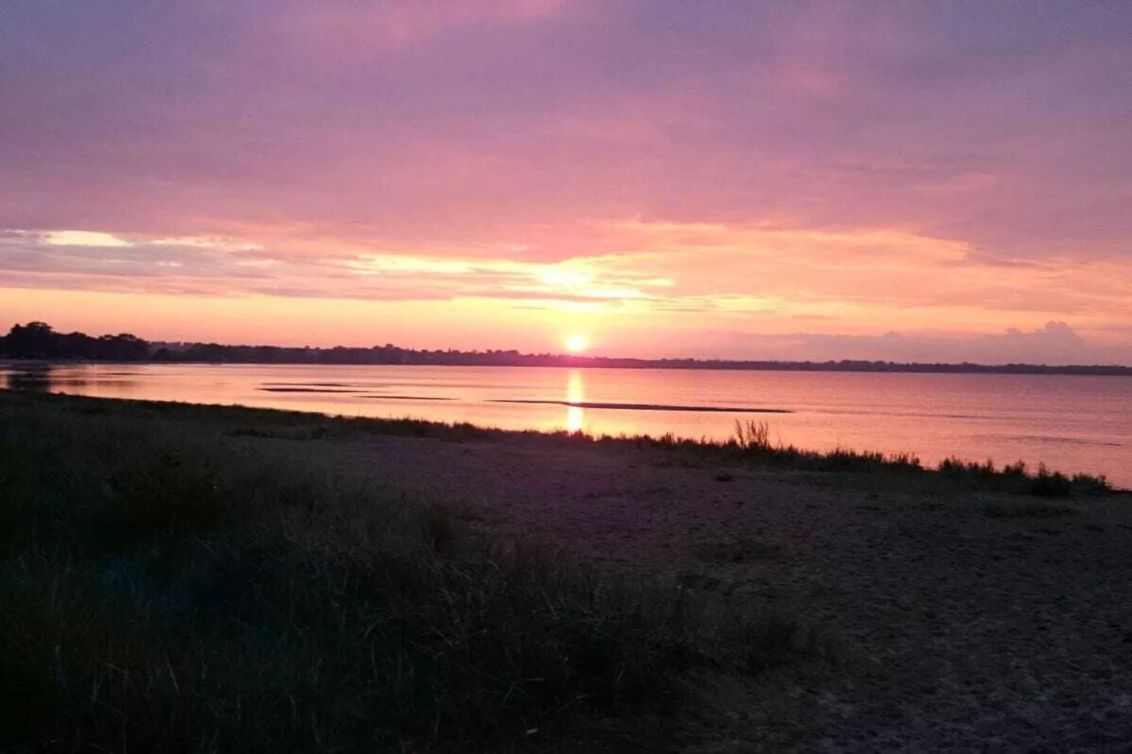 86647-Gebieden zomer 1km