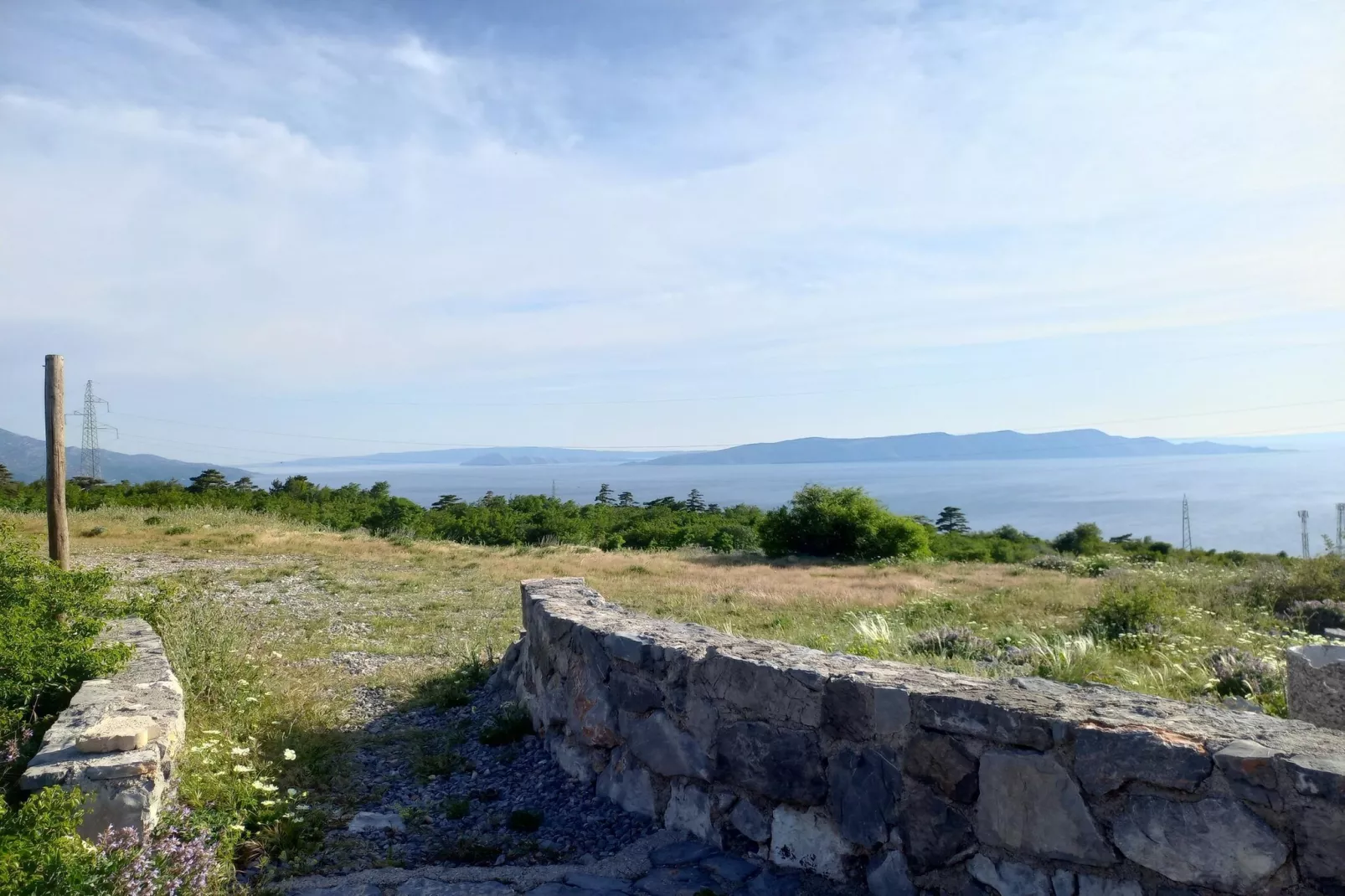 Niko 1-Gebieden zomer 5km