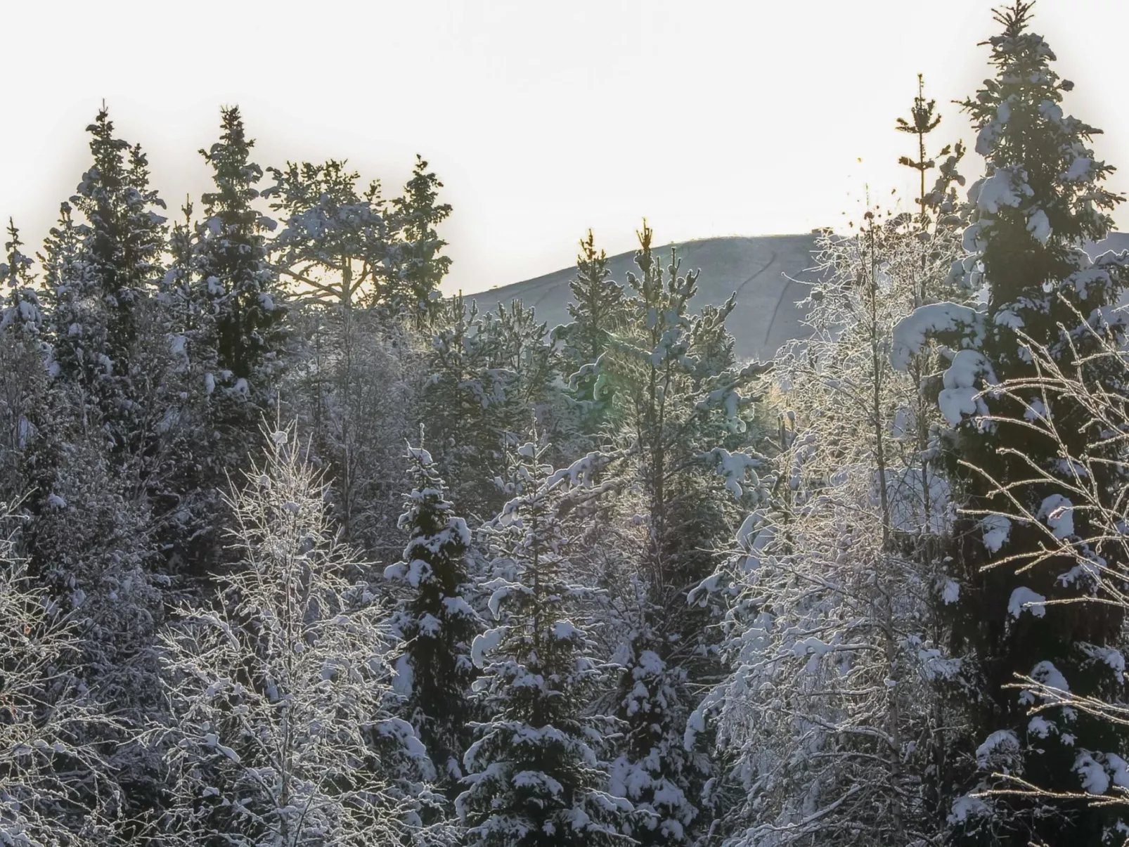 Lapland happiness / skistar 201-Binnen