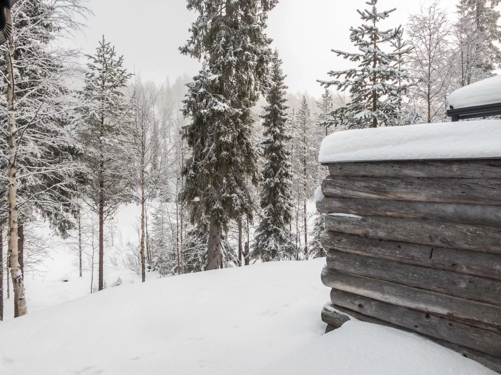 Salmikangas f1-Binnen