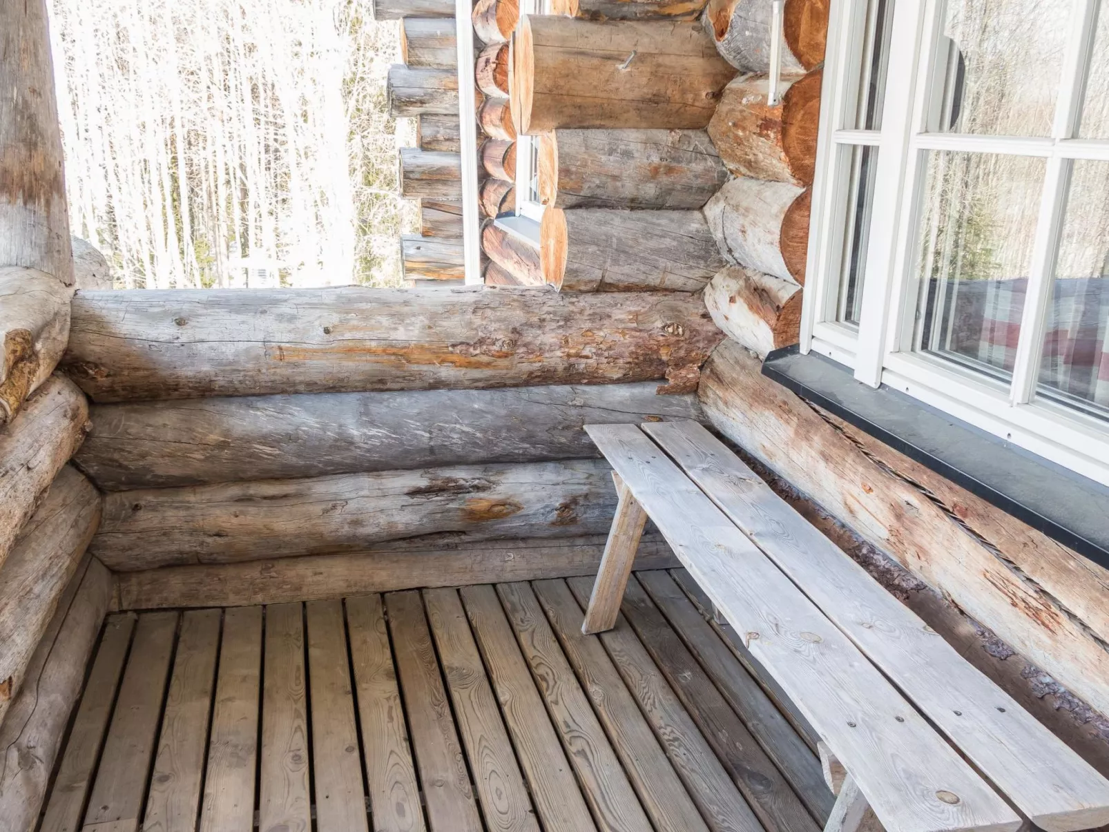 Rukankuukkeli c 24-Binnen