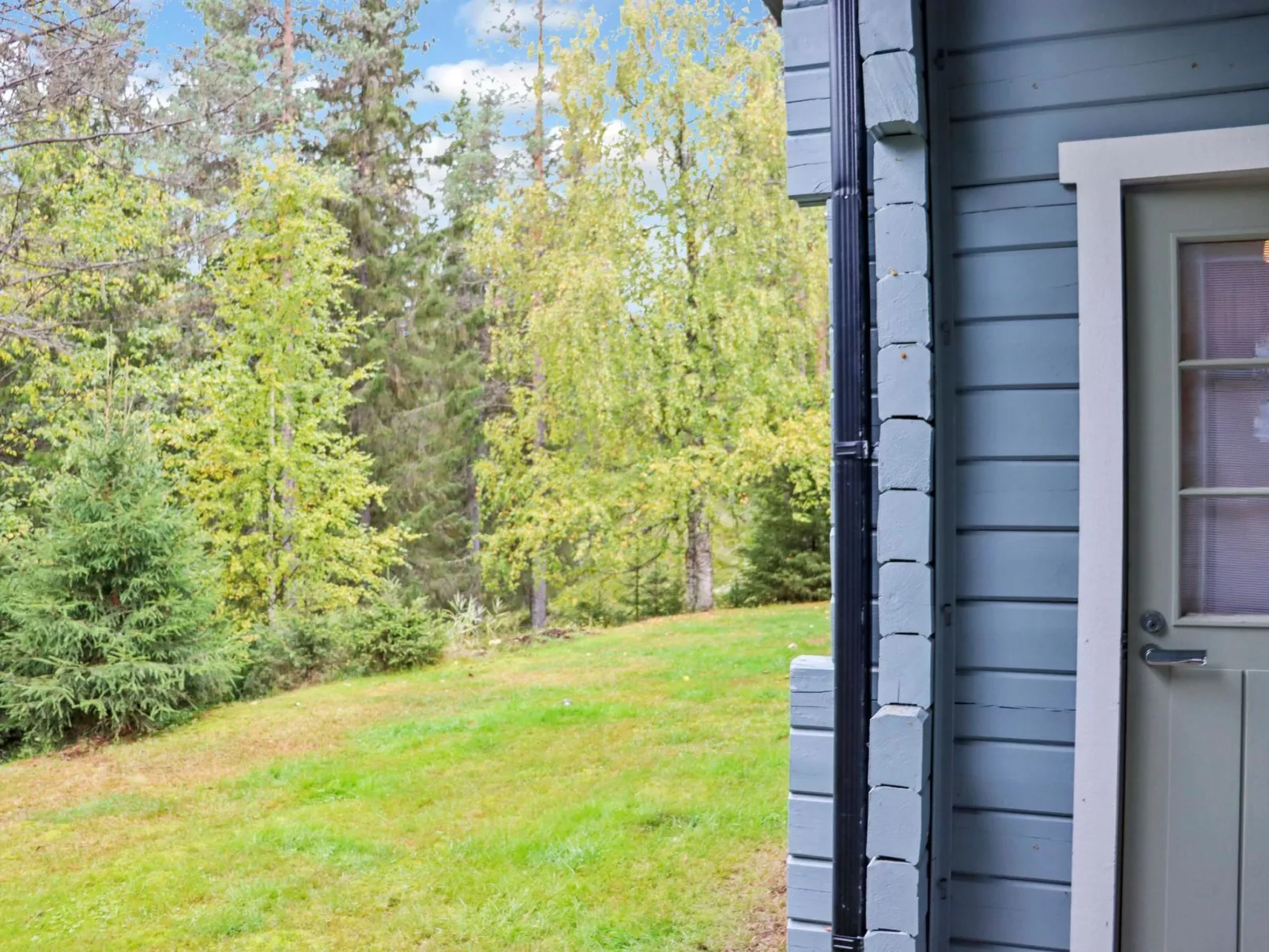 Paljakan pirtit a4-Binnen