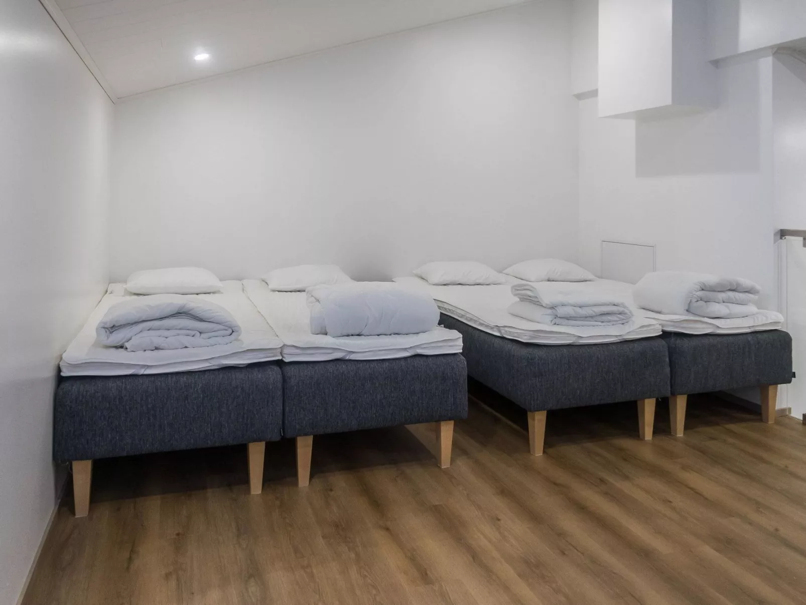 Saukonpesä a-Binnen