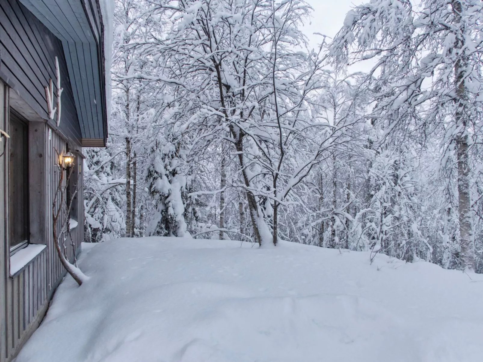 Mustalampi 3 lintukoto-Binnen