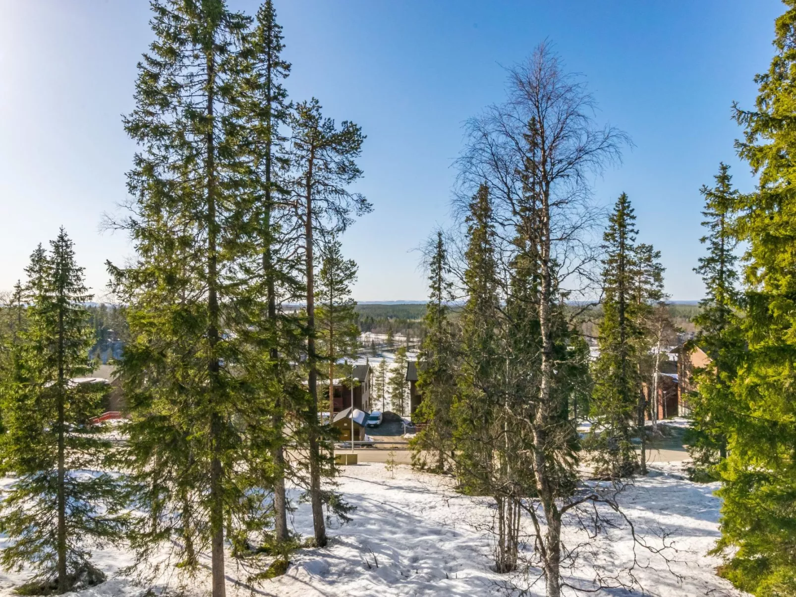 Karhunvartijan pirtti c4-Binnen