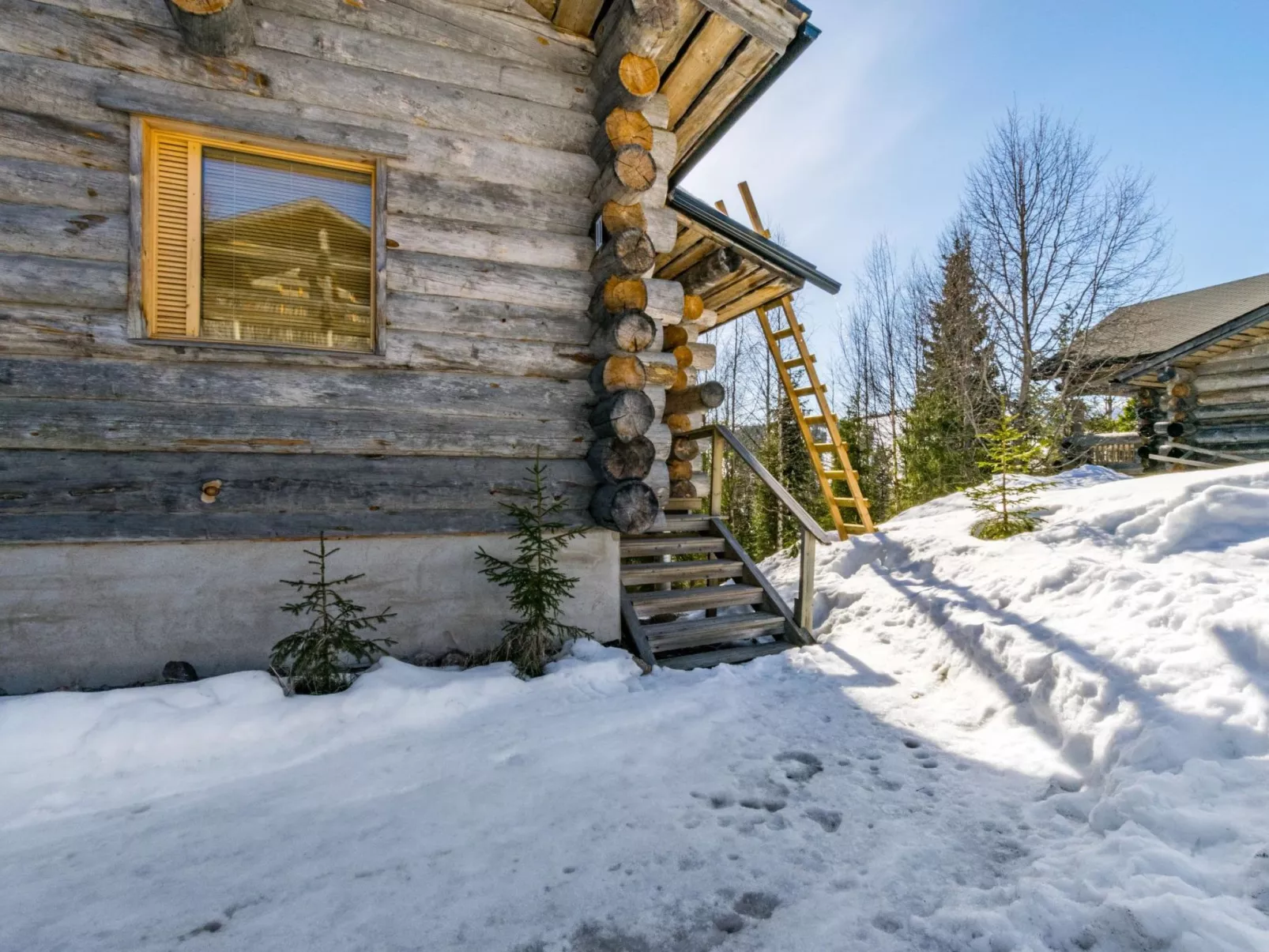 Rinnekieppi 2-Binnen