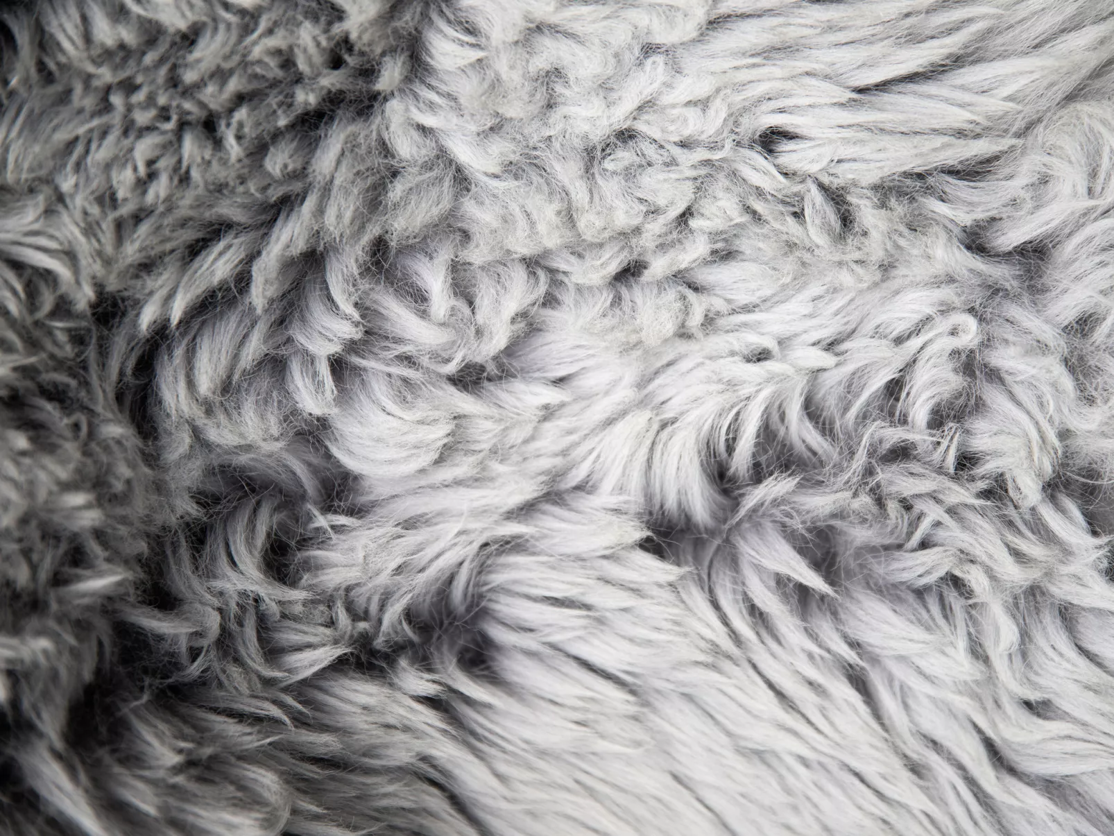 La Siala Apt.28-Binnen