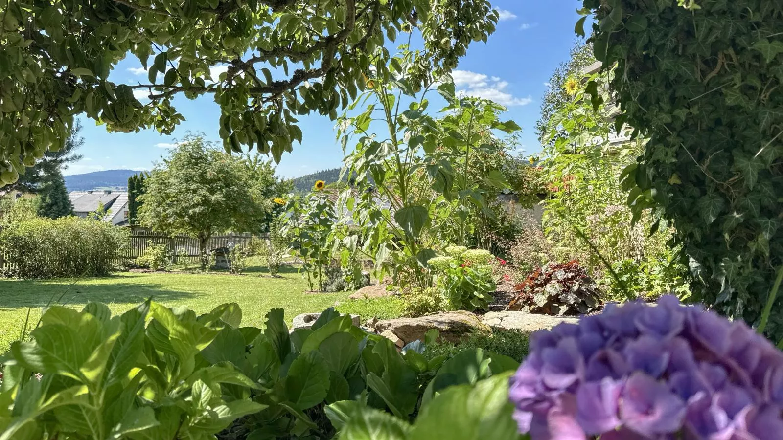 Hochfels-Tuinen zomer