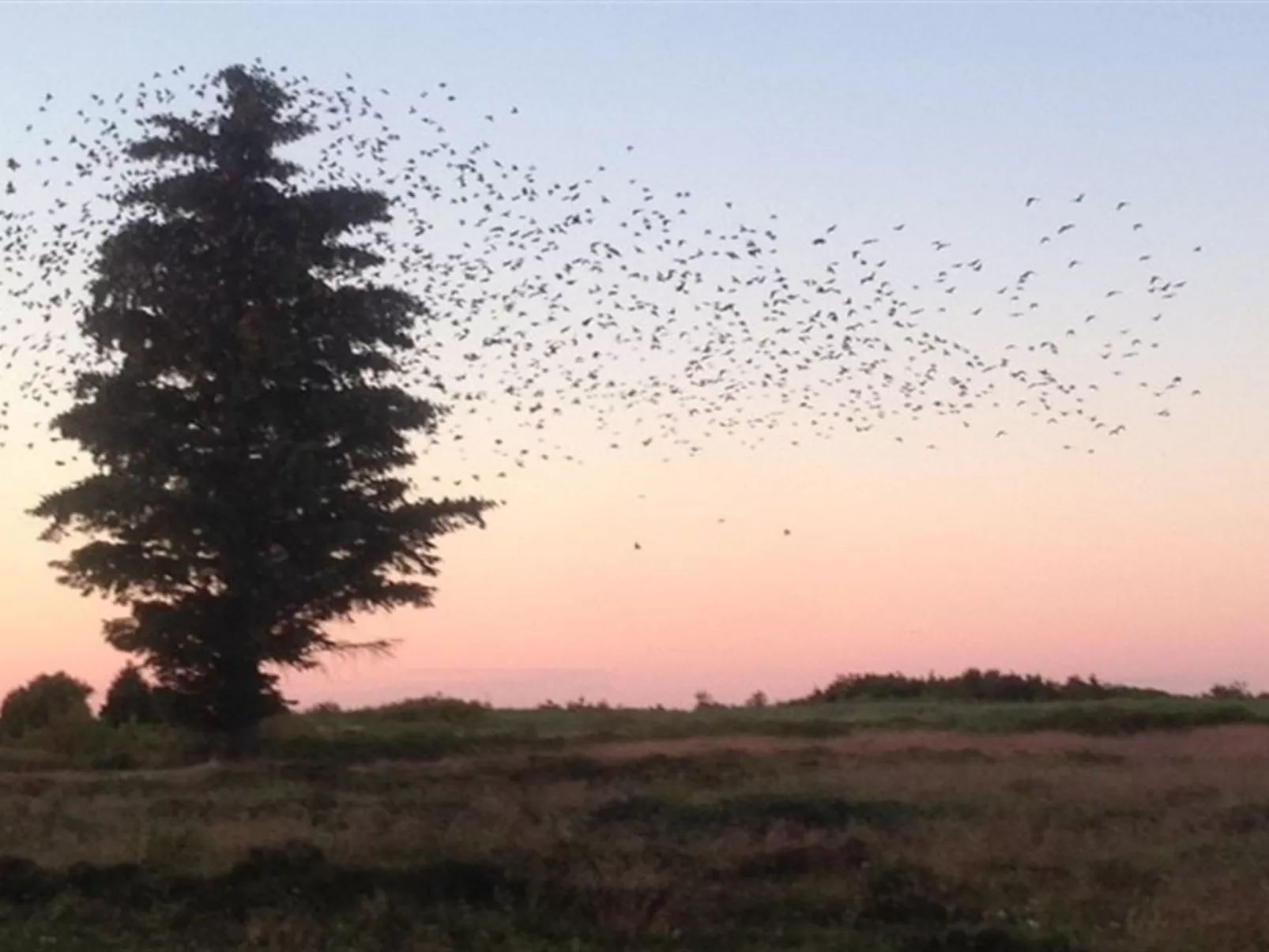 "Stig" - 1km from the sea-Buiten