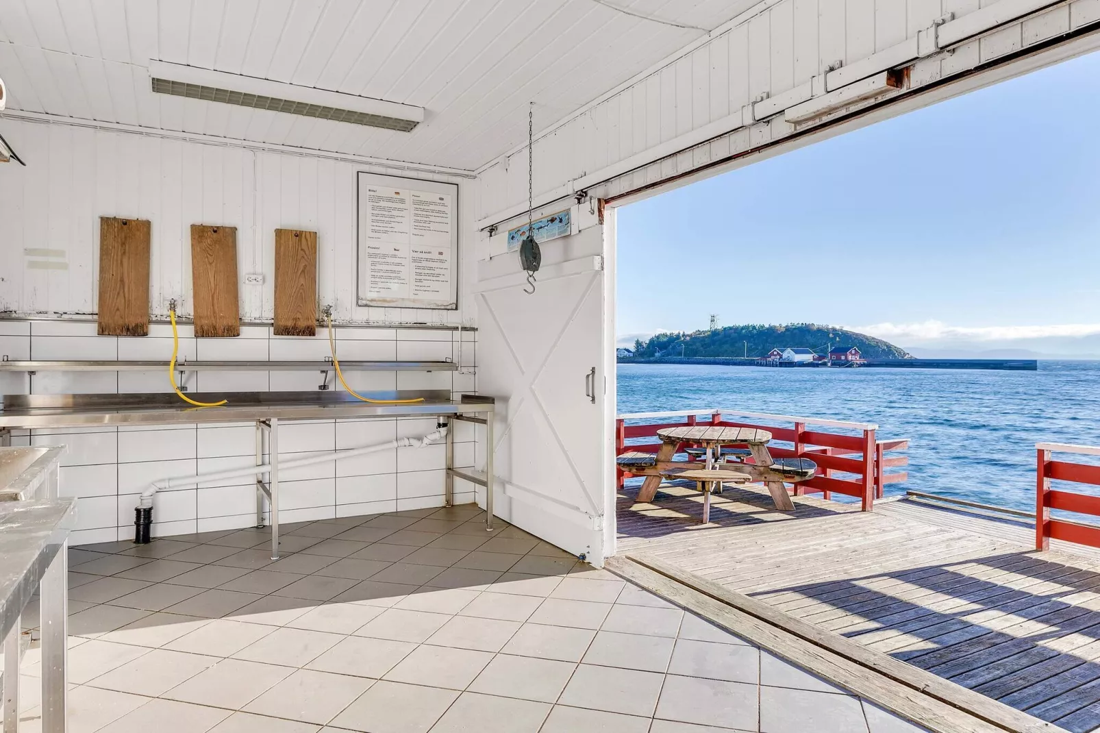 Zeezicht met boten en vissen-Niet-getagd