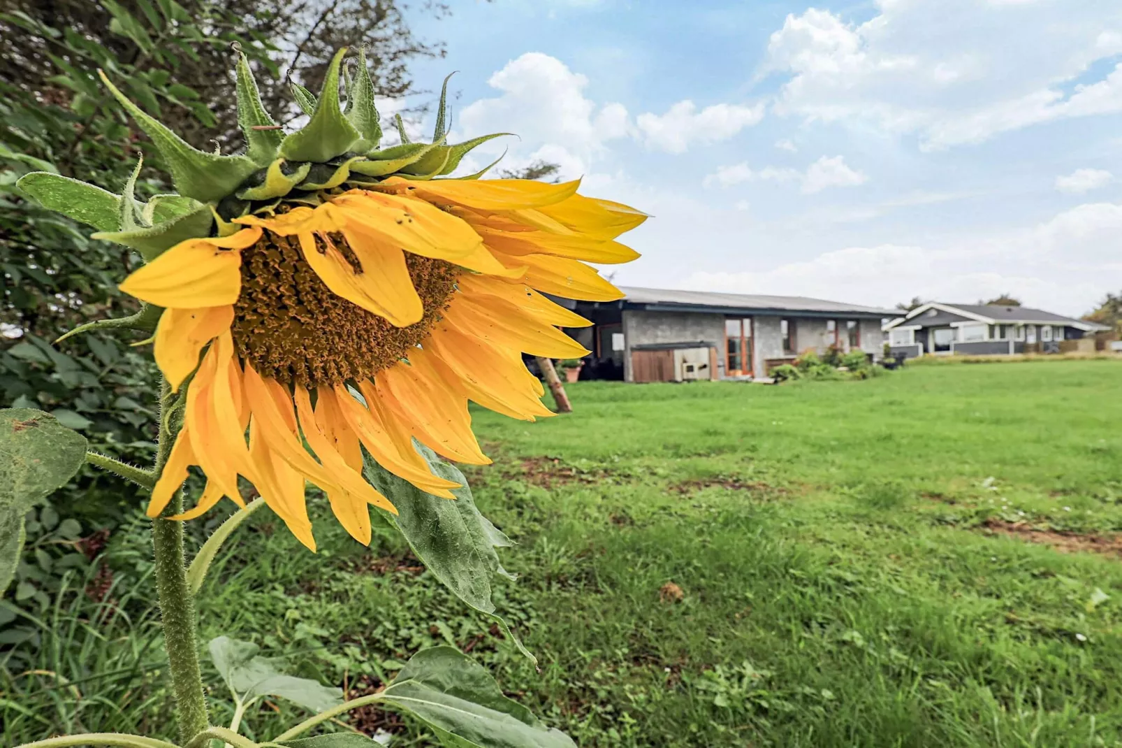 6 Personen vakantie huis in Løkken-Uitzicht