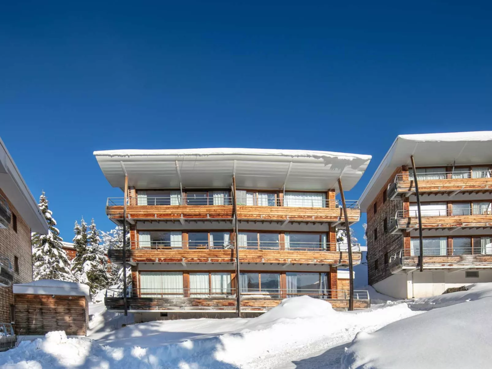 V du Bachat Silene D-Buiten