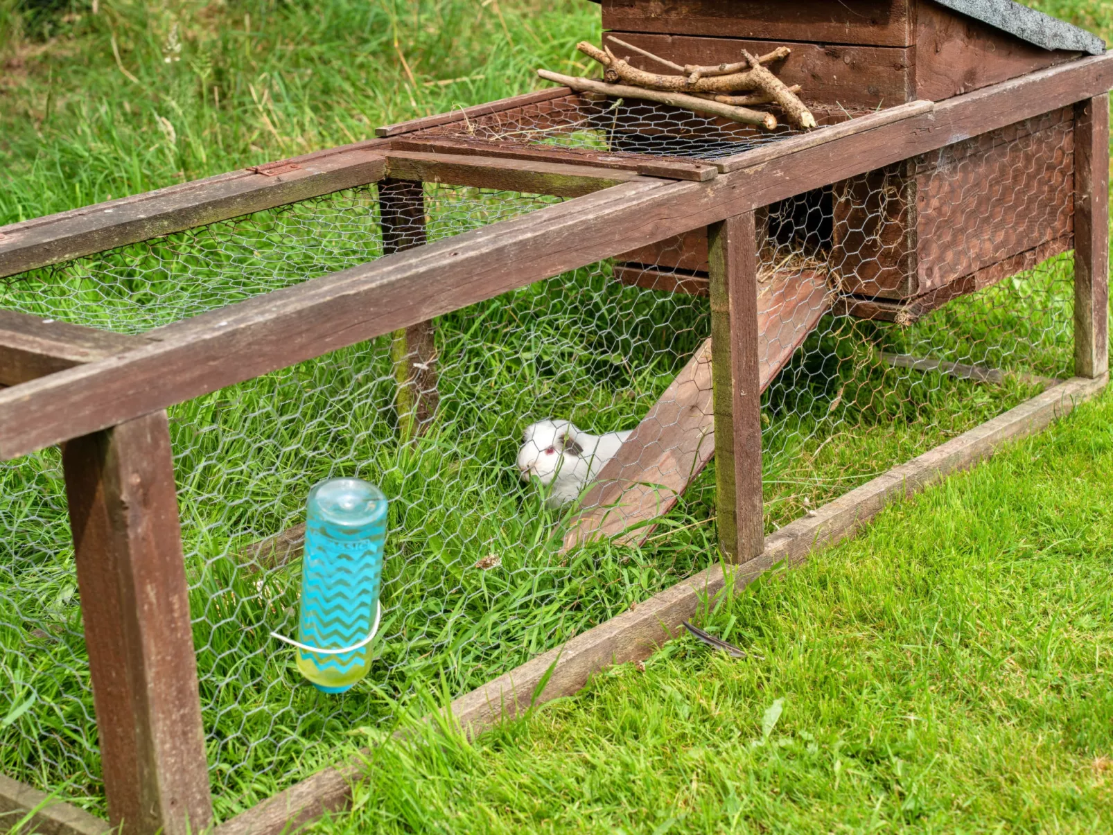 Ash Lotus Belle Tent-Buiten