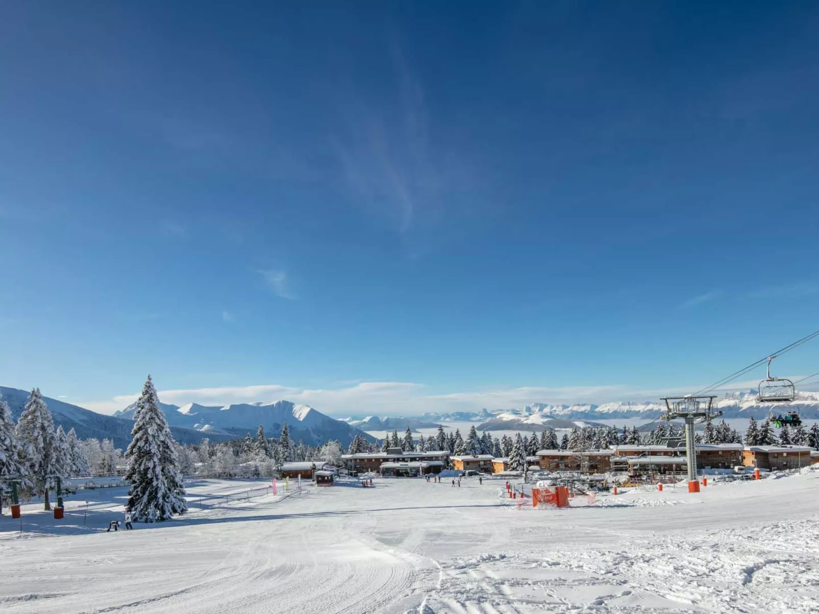 V du Bachat Asters E-Buiten