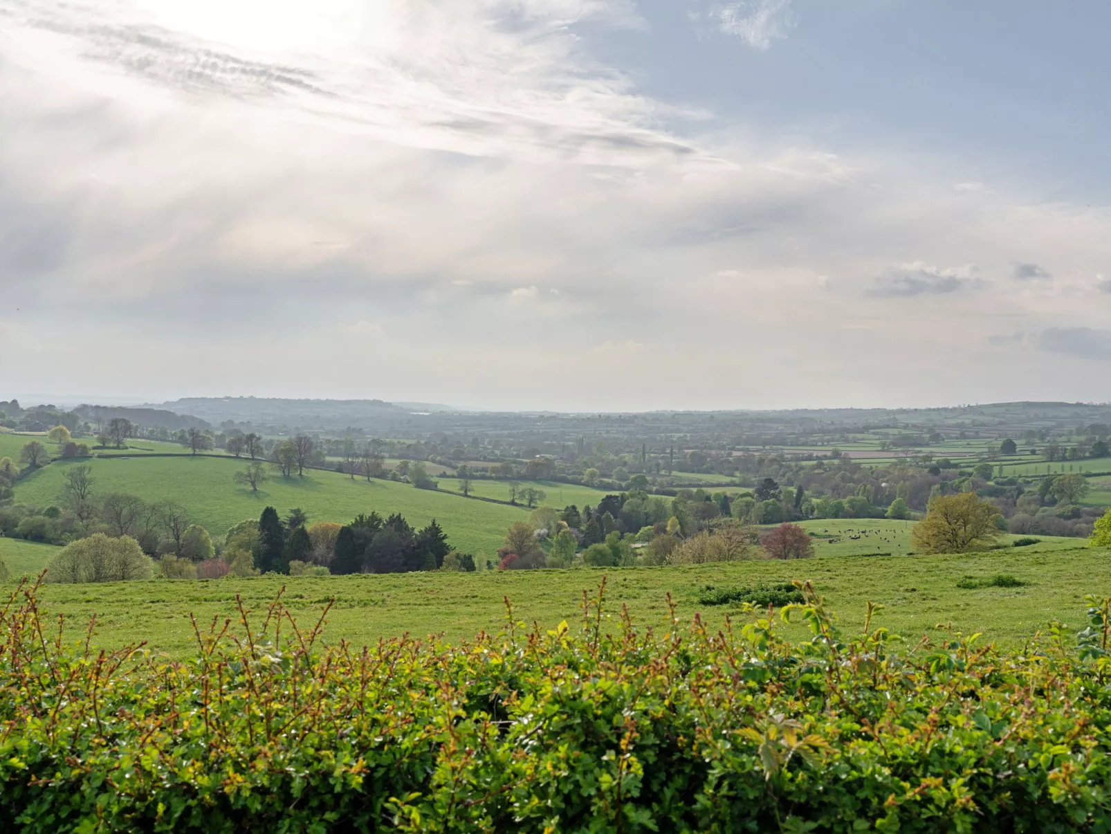 Greenhills Cottage-Buiten