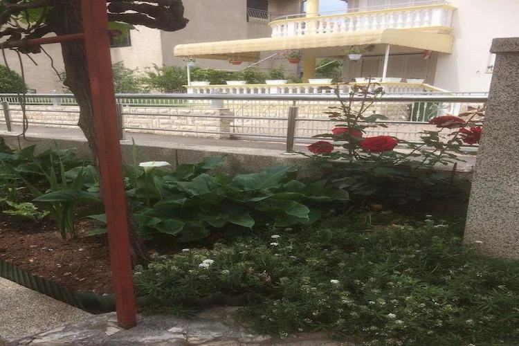 Apartments Villa Tanja - Two Bedroom Apartment with Terrace-Tuinen zomer