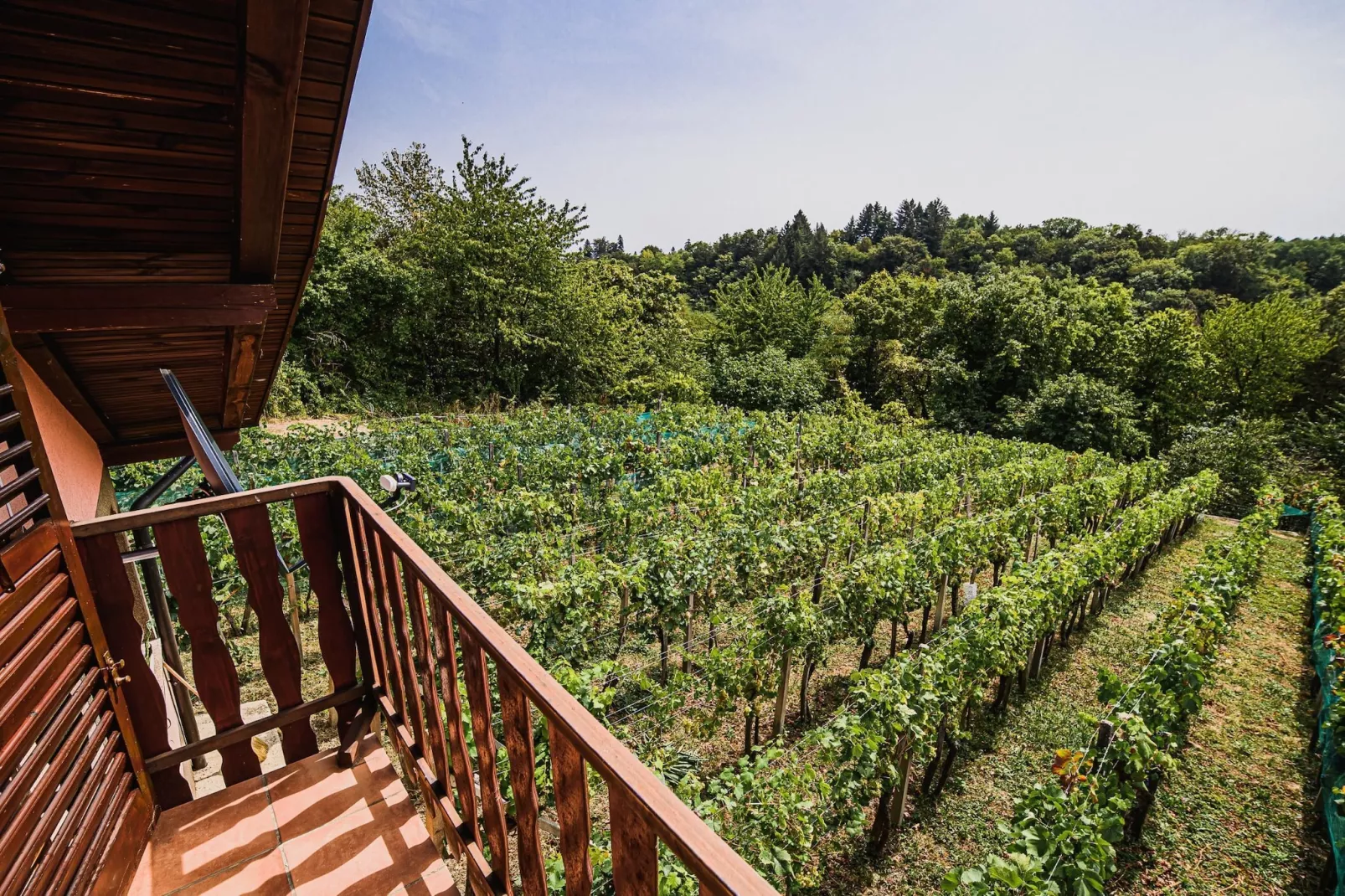 Harvest Horizon Holiday Home with Sauna - One Bedroom Holiday Home