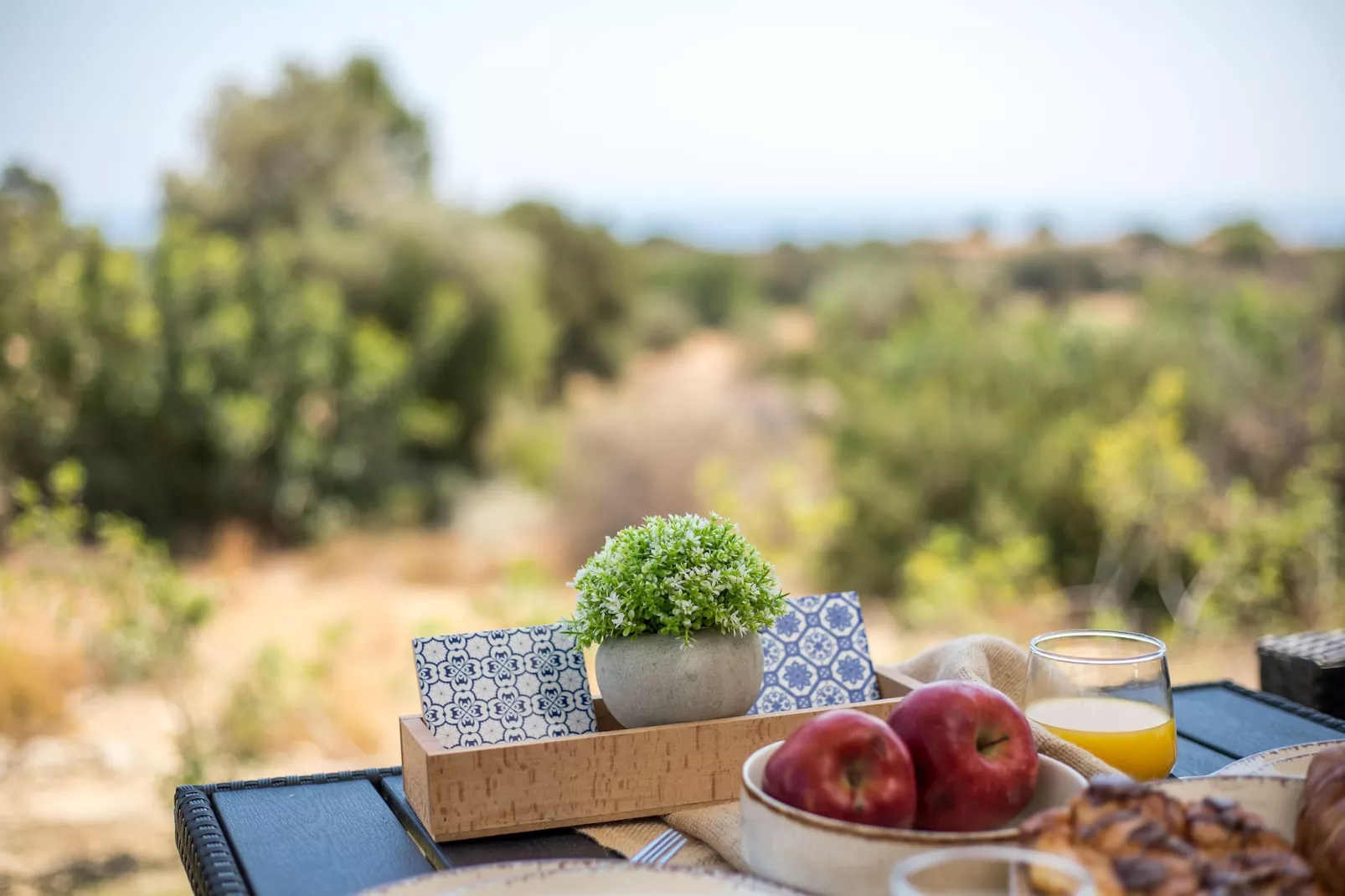 EMARMENE AGROTOURISTIC-Sfeer