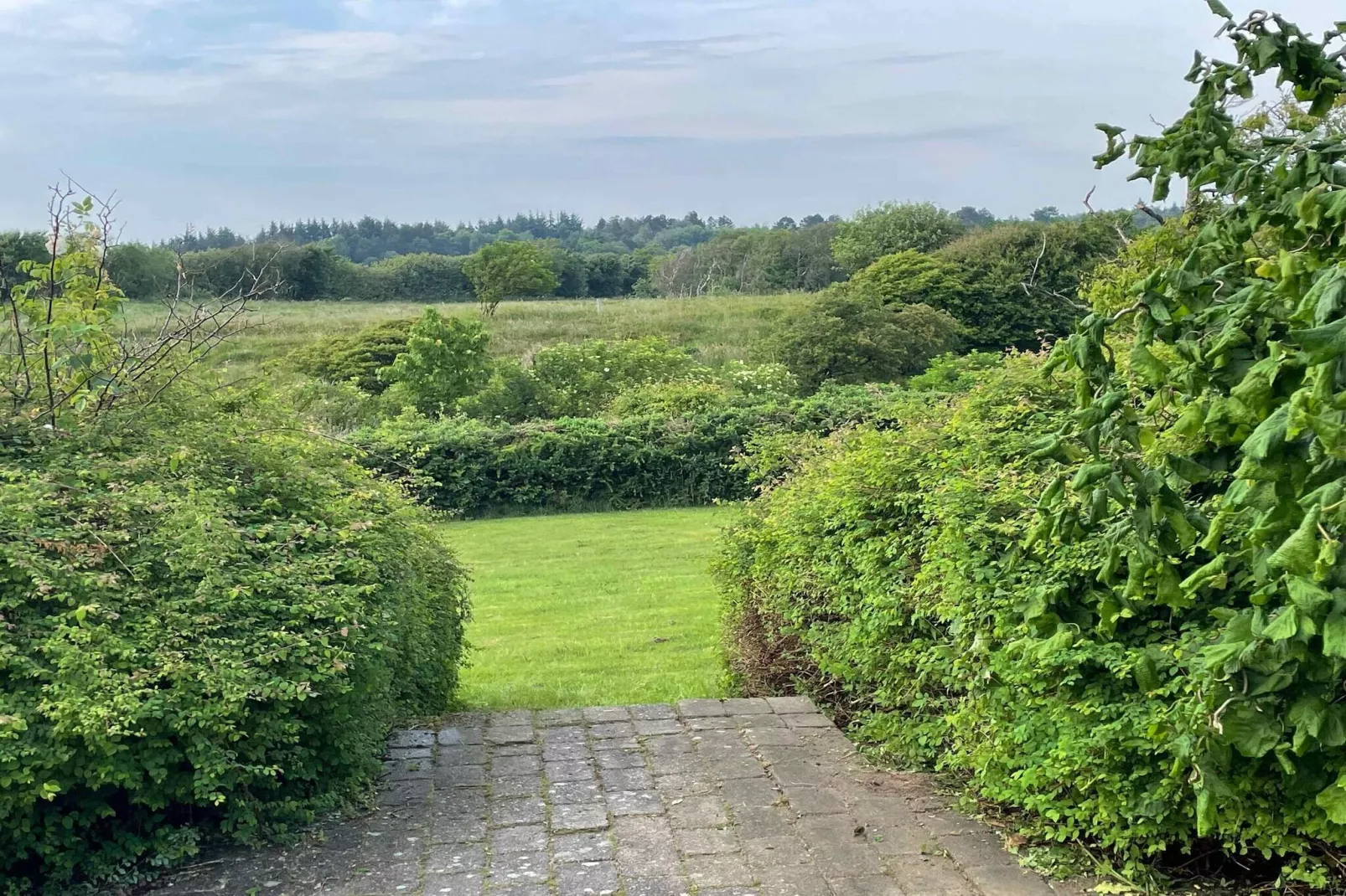 5 sterren vakantie huis in Farsø-Buitenlucht