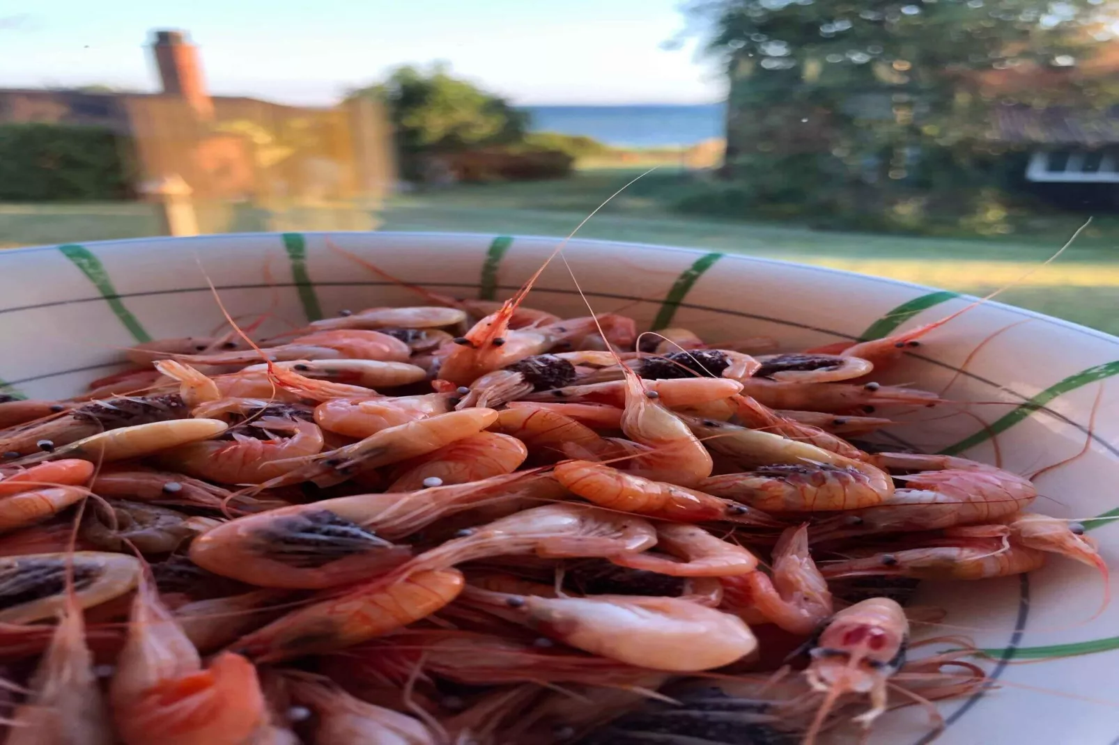 6 Personen vakantie huis in Jægerspris-Uitzicht