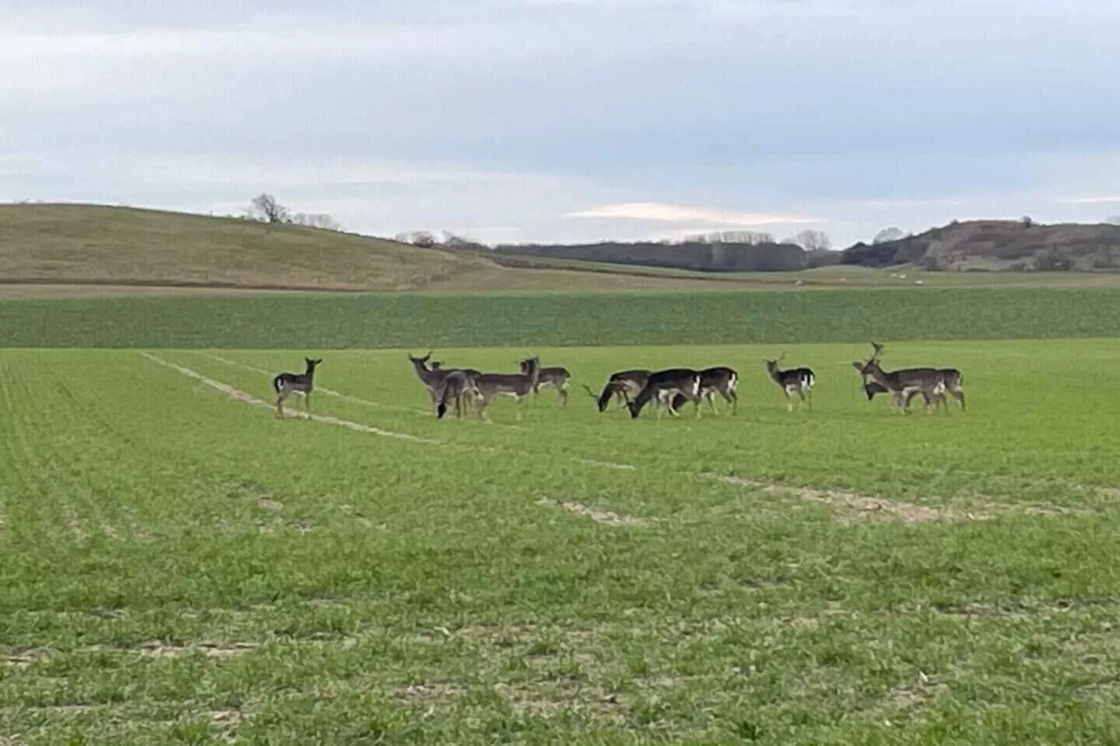 5 sterren vakantie huis in Bagenkop-Niet-getagd