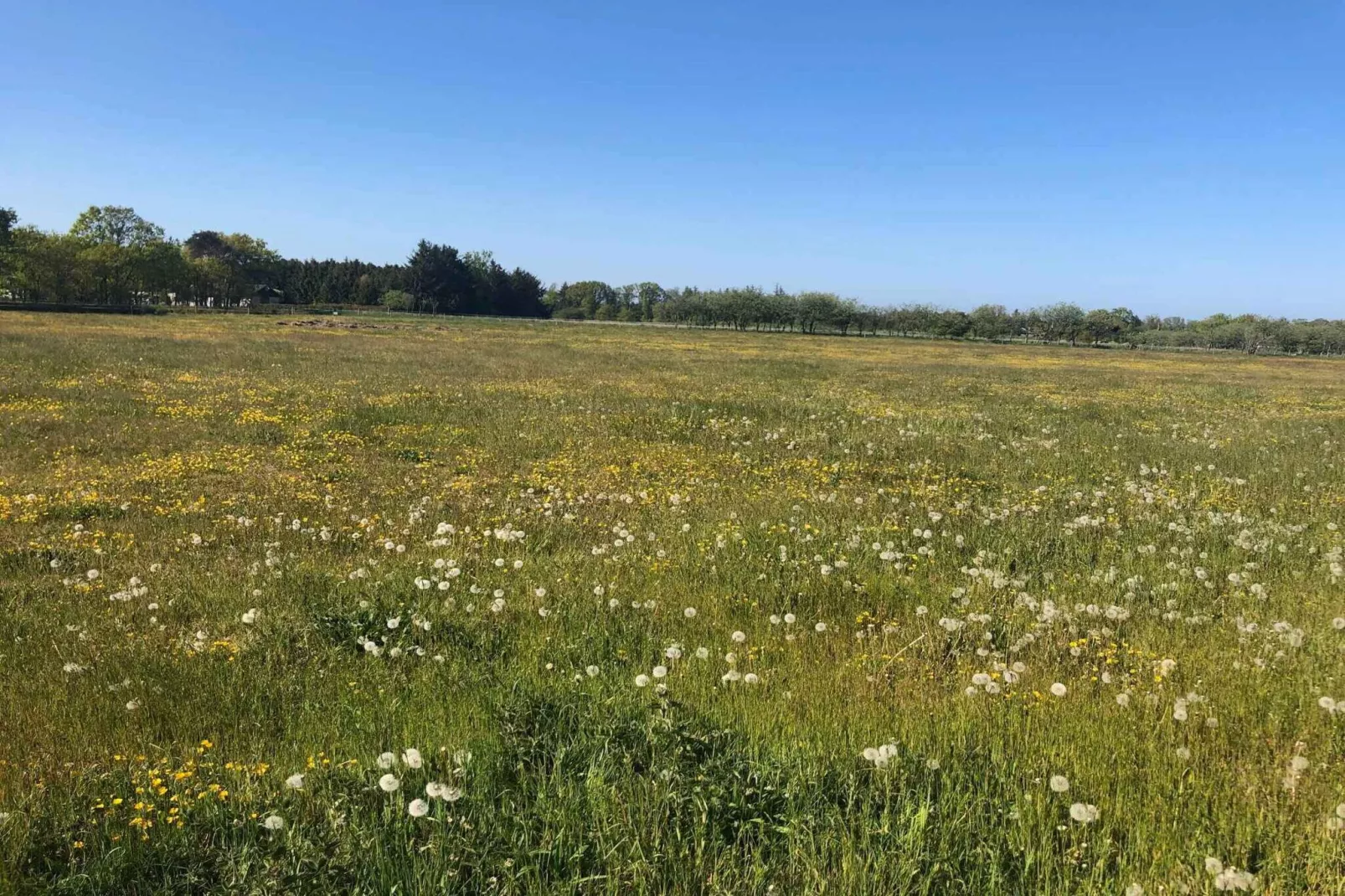 4 sterren vakantie huis in Hadsund-Buitenlucht