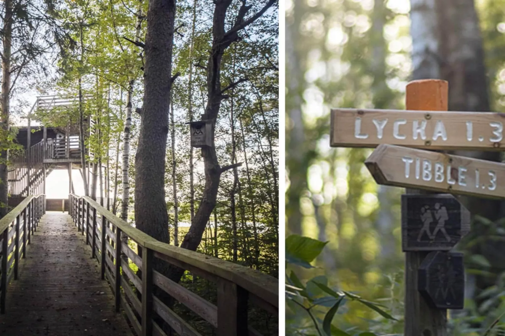 Gezellig vakantiehuis vlakbij bos en meer-Buitenlucht