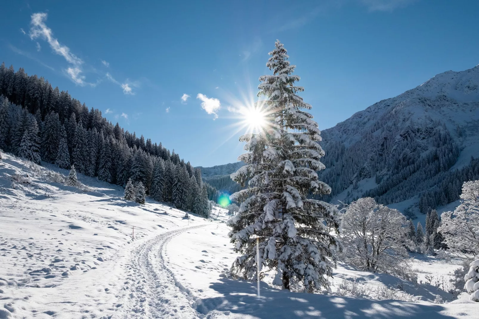 Top 4-Gebied winter 5km