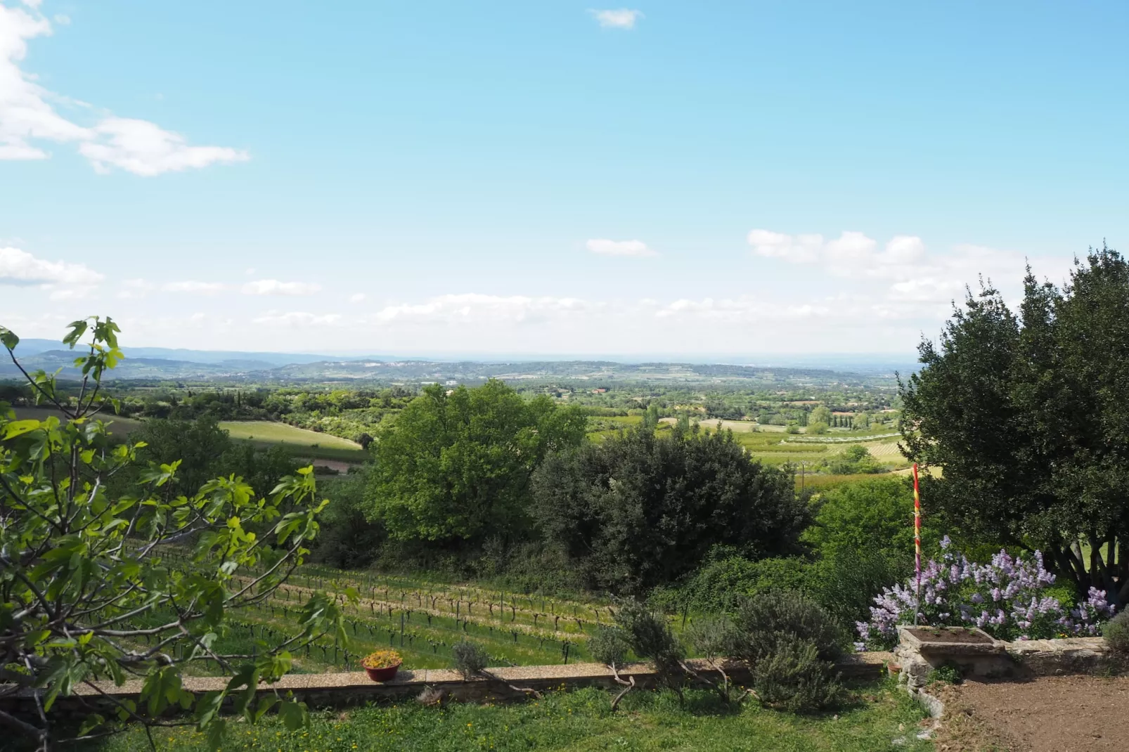 Doppelhaushälfte in Bédoin-Uitzicht zomer