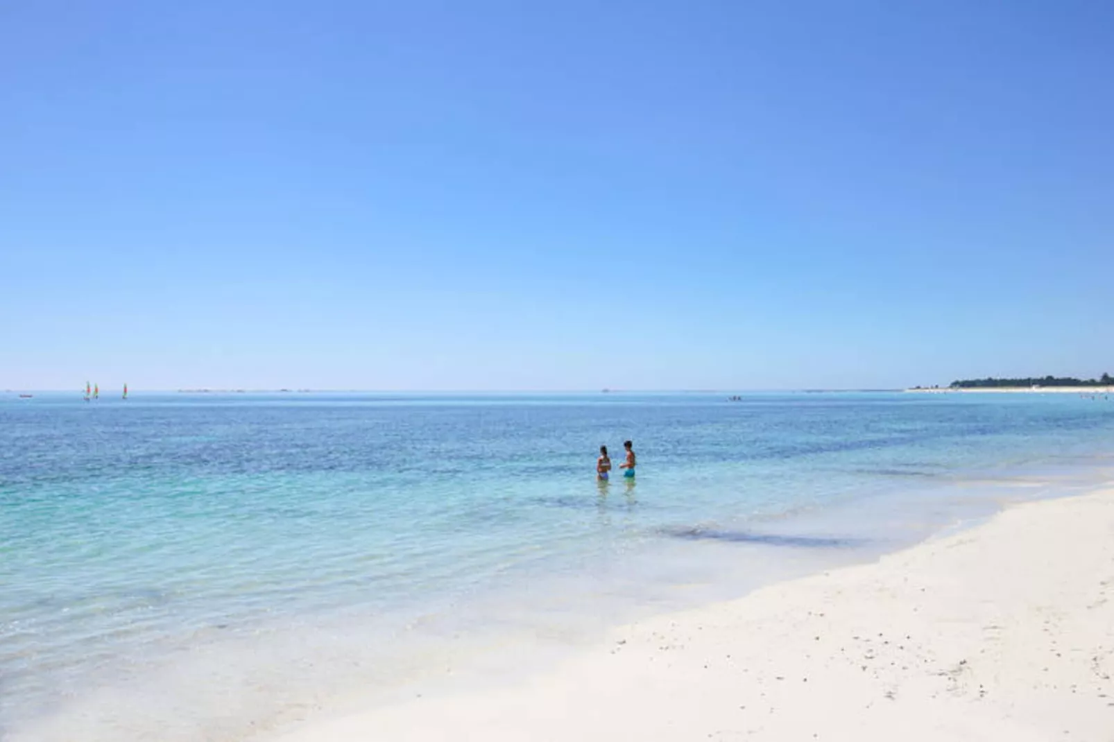 Appartements à Le Guilvinec-Niet-getagd