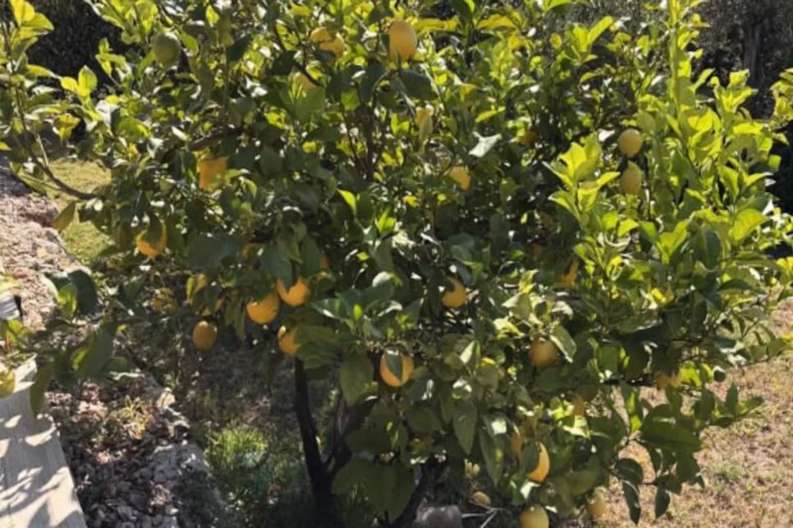 Plen Souleu Villa Haut Standing, Piscine, Jacuzzi, Sauna, Airco By Sunset-Niet-getagd