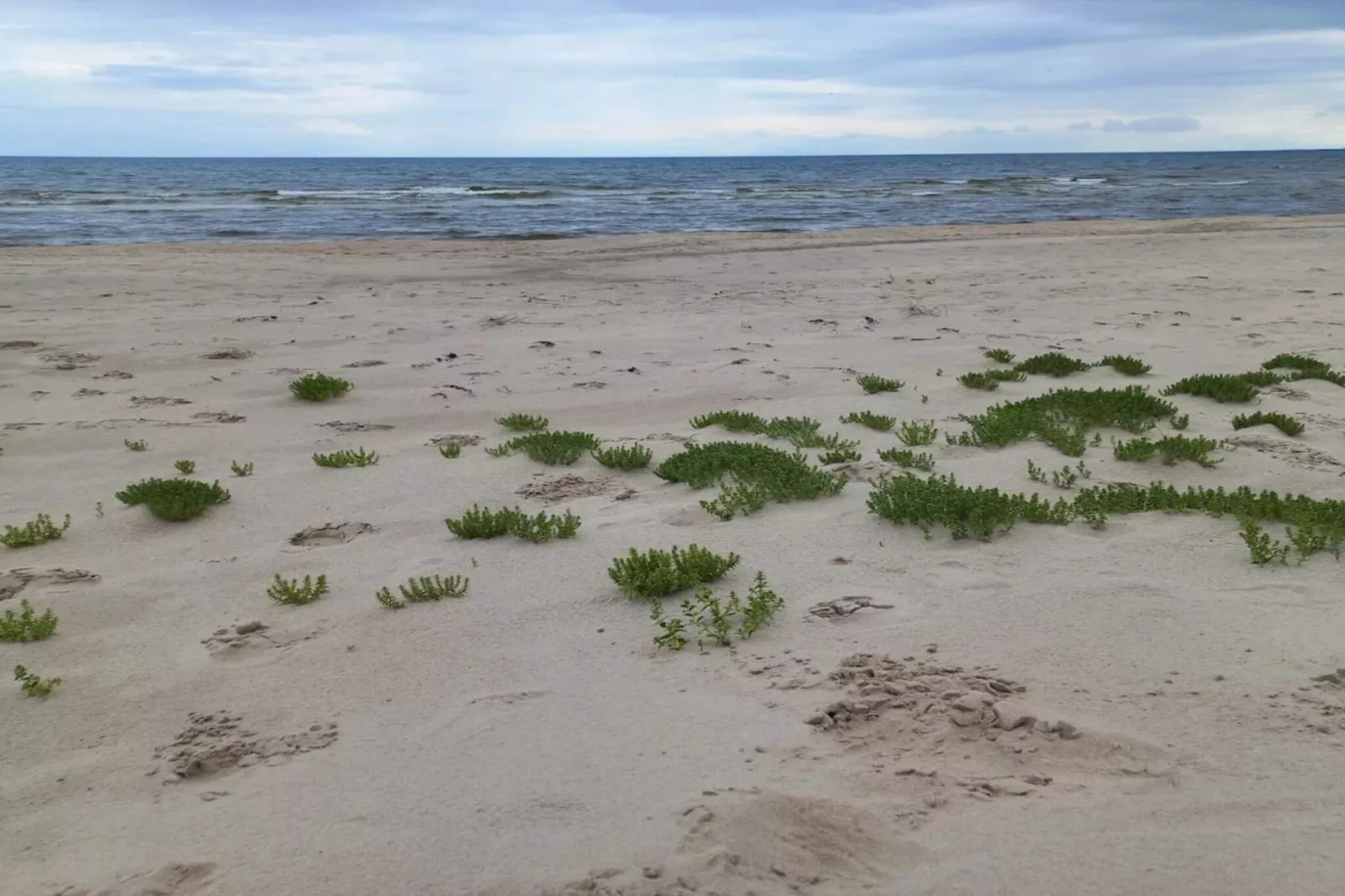 6 persoons vakantie huis in Ålbæk-Waterzicht