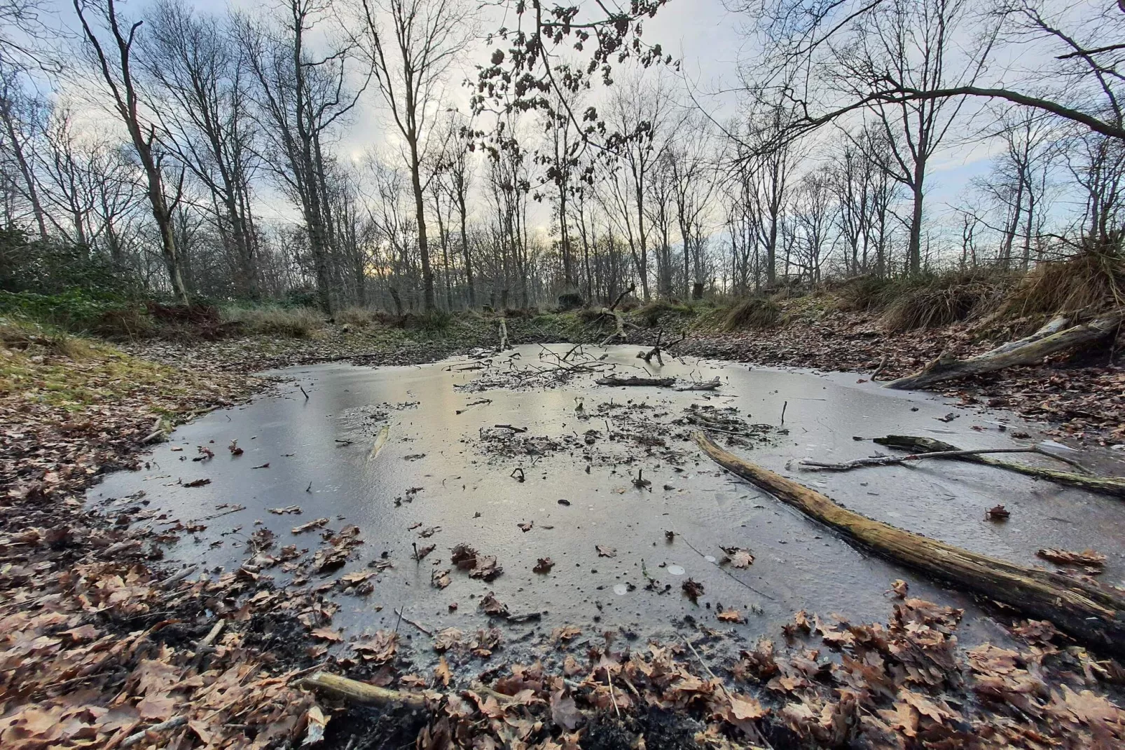 2 persoons vakantie huis in Otterup-Waterzicht