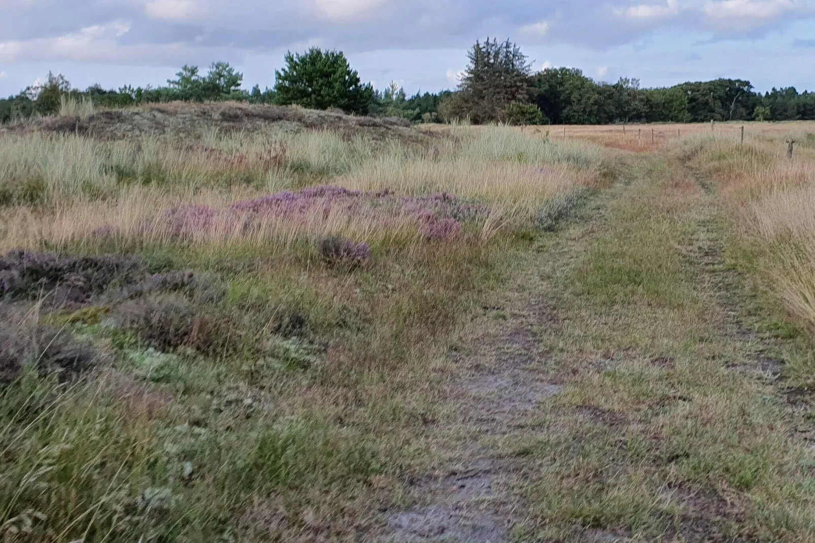 4 persoons vakantie huis in Oksbøl-Niet-getagd