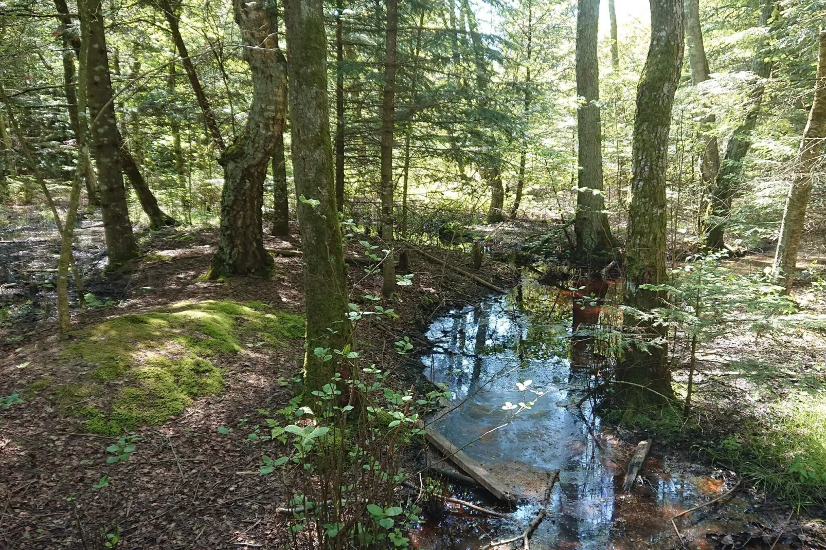 Gezinsuitje in Lodskovvad -- By Traum Ferienwohnungen-Waterzicht