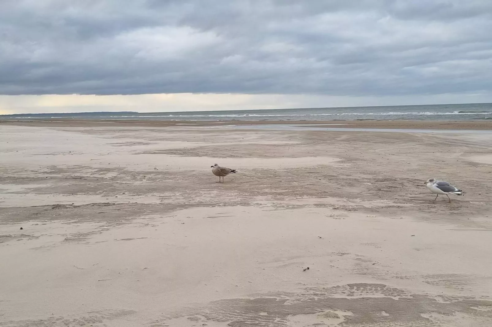 Strandparadijs in Saltum -- By Traum Ferienwohnungen-Waterzicht