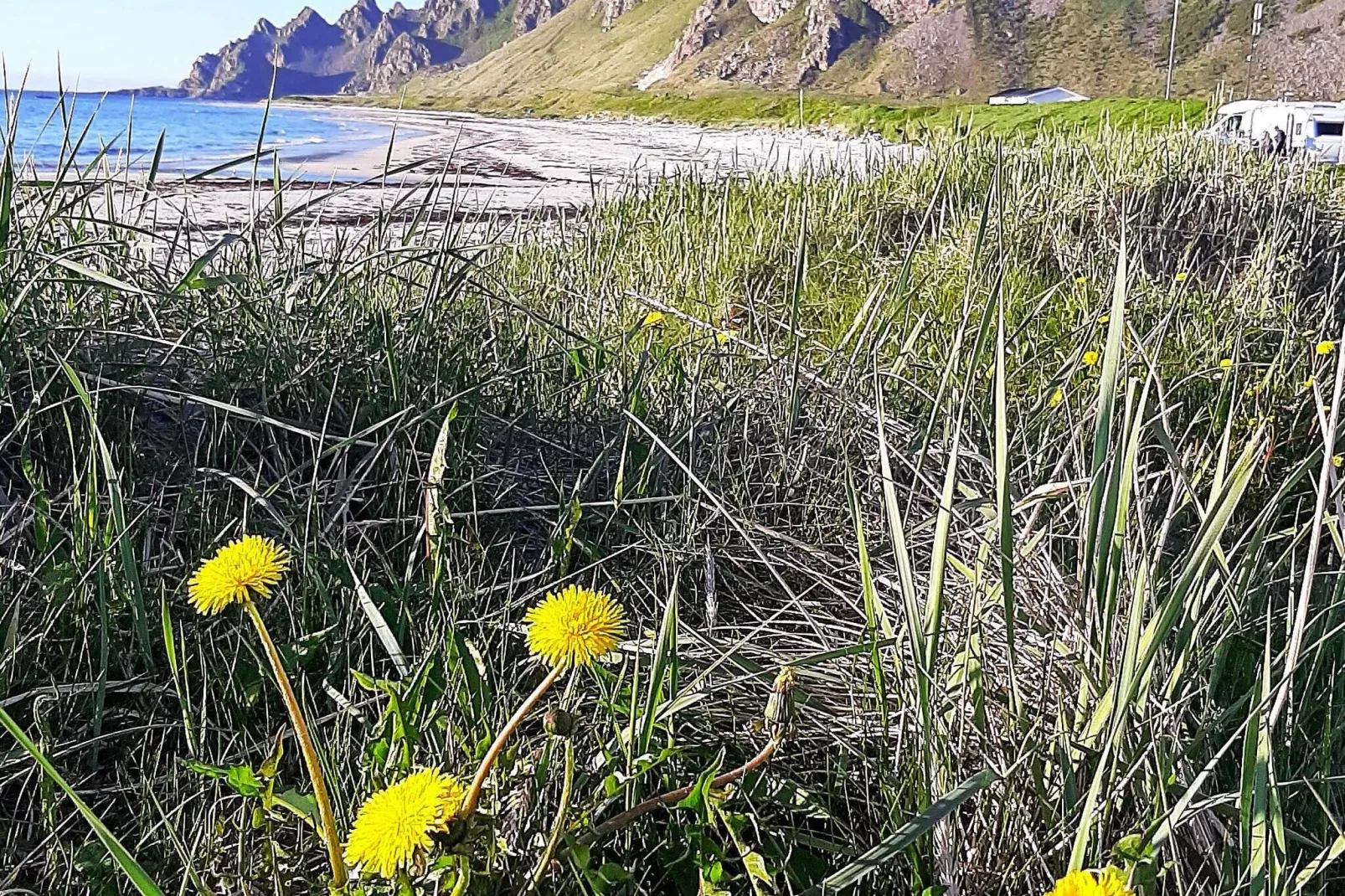 8 persoons vakantie huis in SORTLAND-By Traum-Niet-getagd