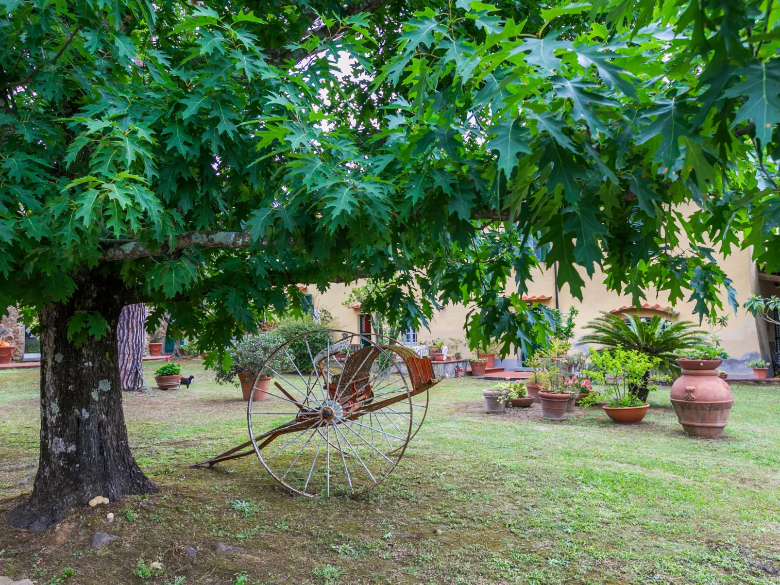 Tenuta San Lazzaro-Buiten