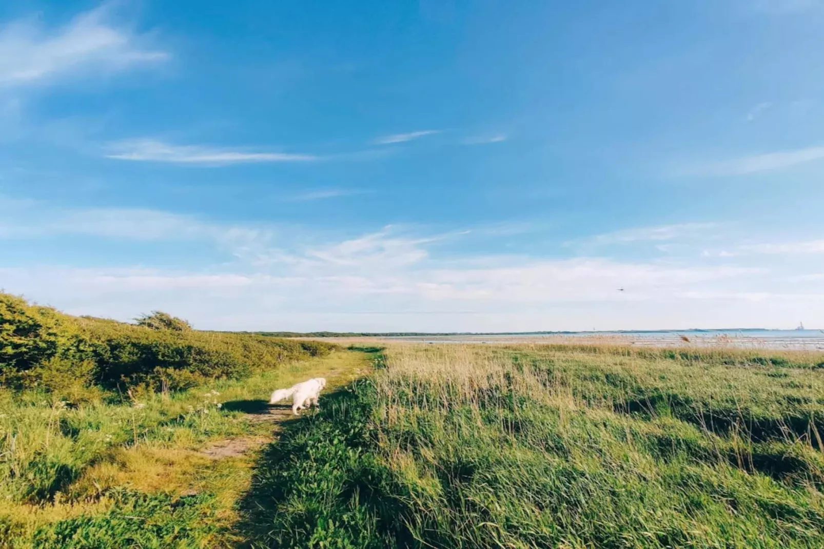 Luxe retraite met zwembad -- By Traum Ferienwohnungen-Waterzicht