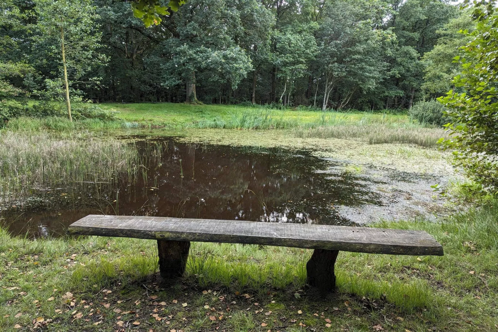 Gezellig toevluchtsoord in Arrild -- By Traum Ferienwohnungen-Waterzicht