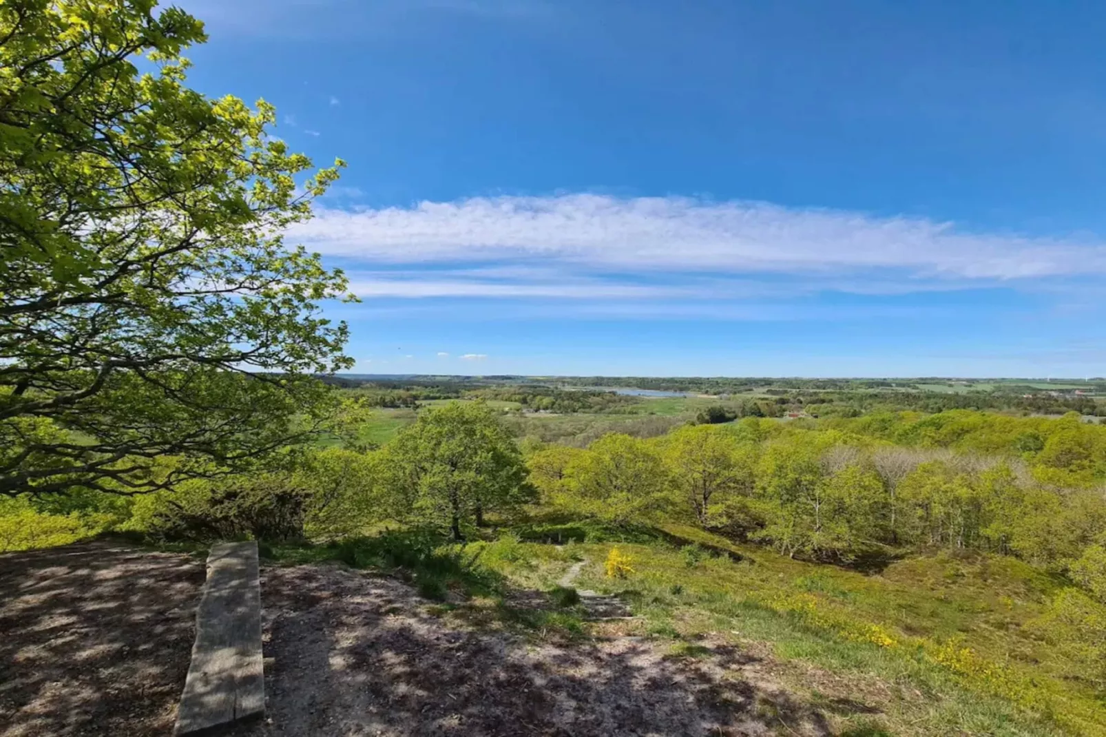 8 persoons vakantie huis in Gjern-By Traum-Niet-getagd