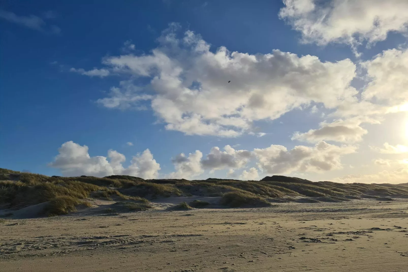 6 persoons vakantie huis in Saltum-By Traum-Waterzicht