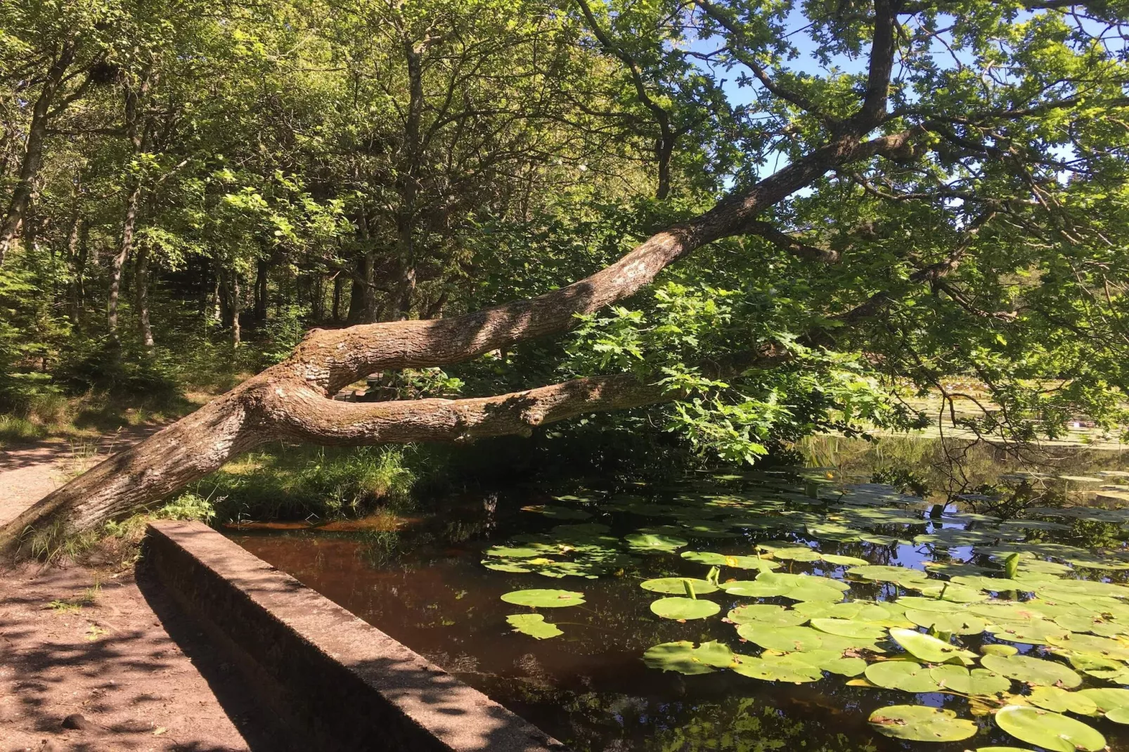 Zeezijde retraite met spa -- By Traum Ferienwohnungen-Waterzicht