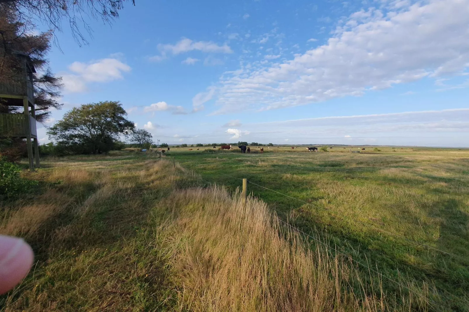 6 persoons vakantie huis in Oksbøl-Niet-getagd