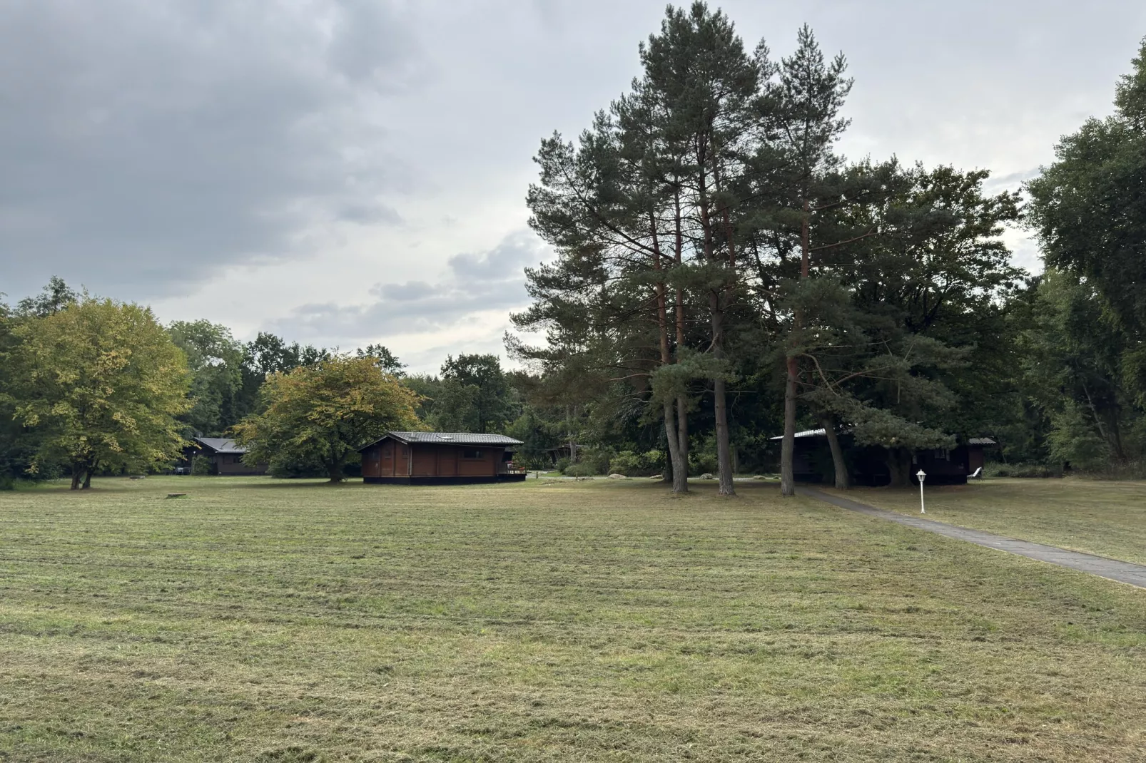 Lüneburger Heide-Uitzicht zomer