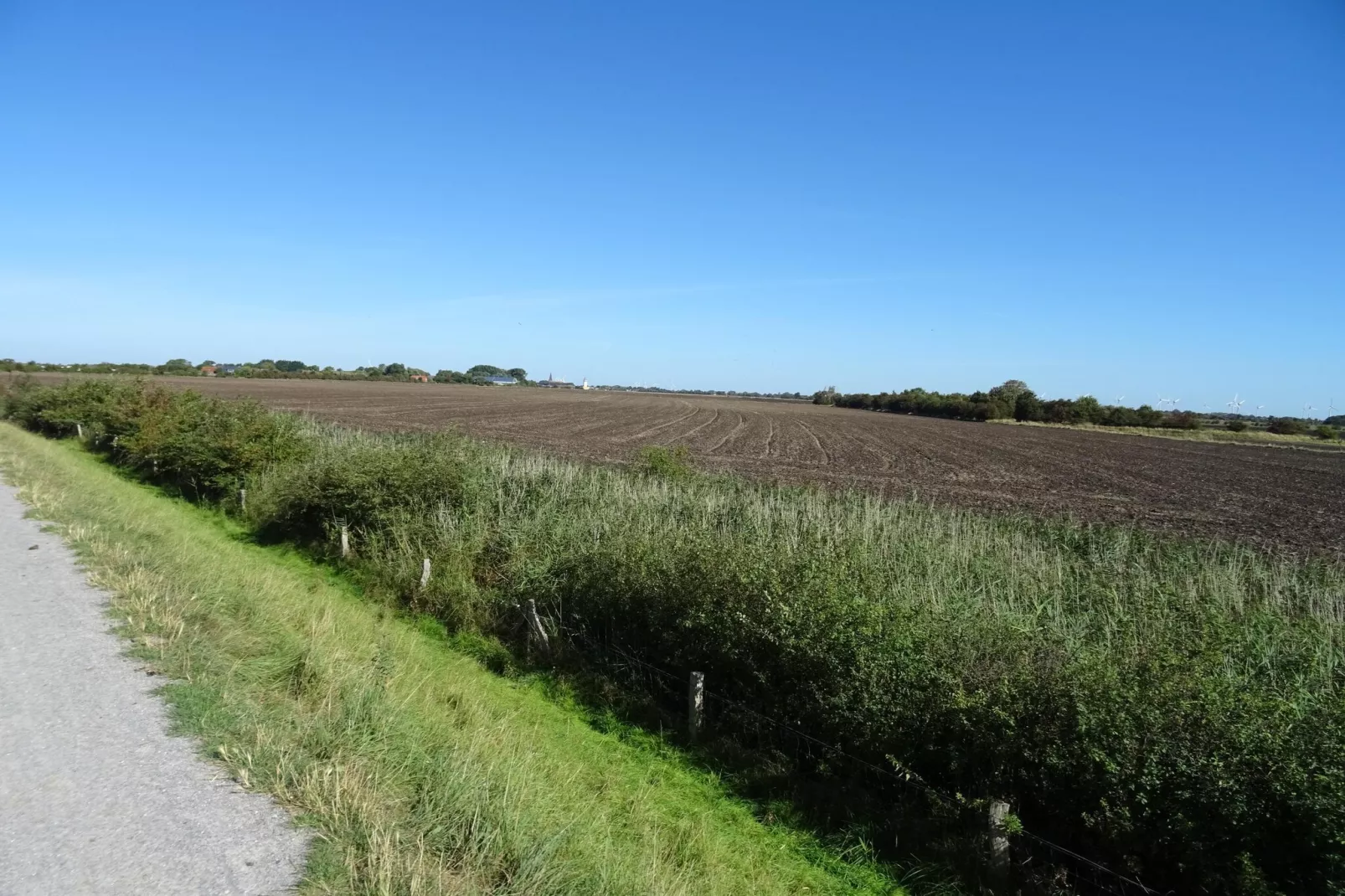 FeWo Sturmeck 67 qm Typ P5 1 OG-Gebieden zomer 5km